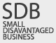 Small Disadvantage Business